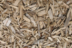 biomass boilers Thurdon